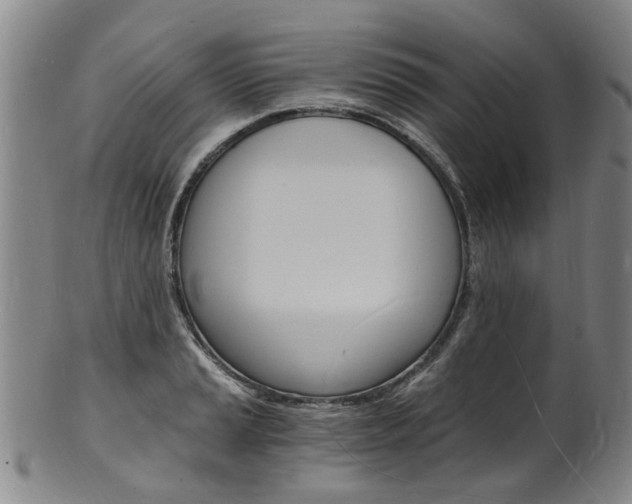 X0000101671037200807101044