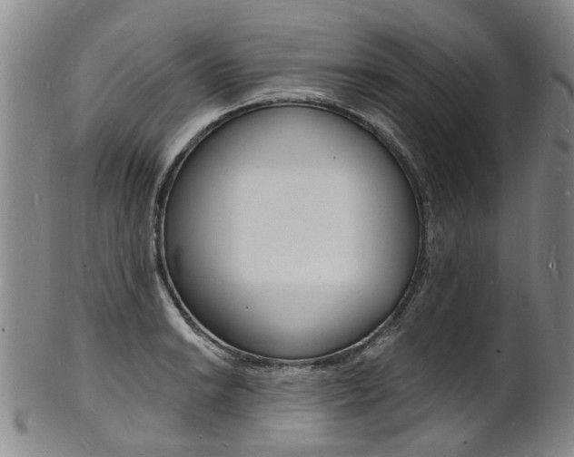 X0000101671038200807101044