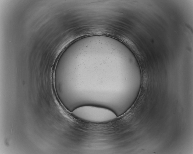 X0000101671039200807101044