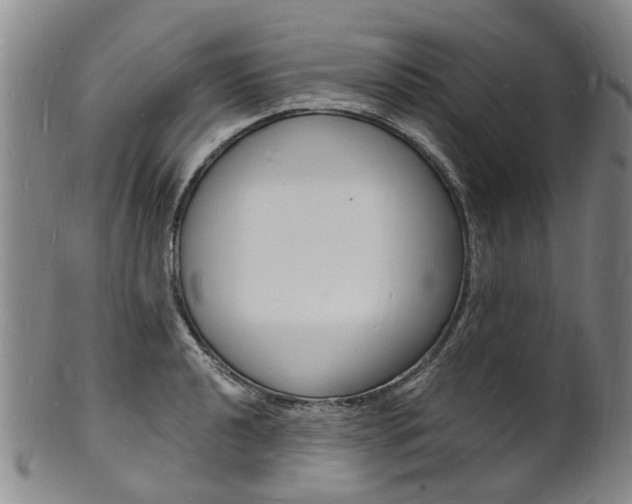 X0000101671040200807101044