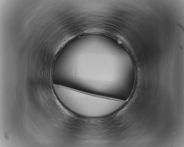X0000101671041200807101044