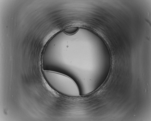 X0000101671042200807101044