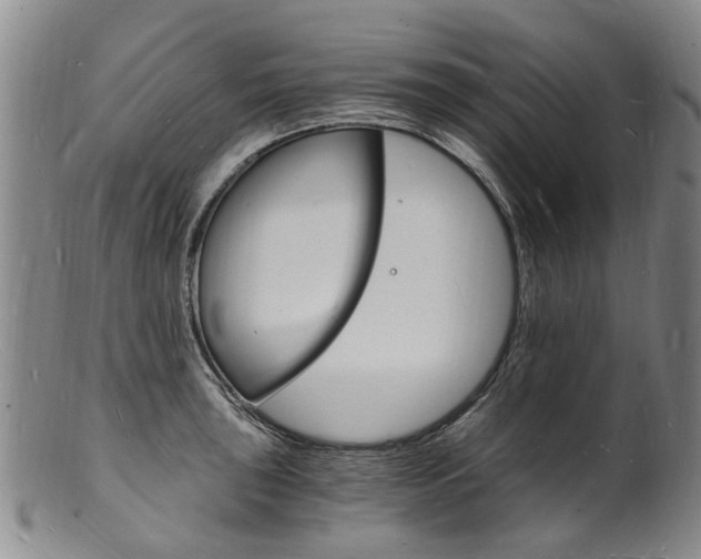 X0000101671043200807101045