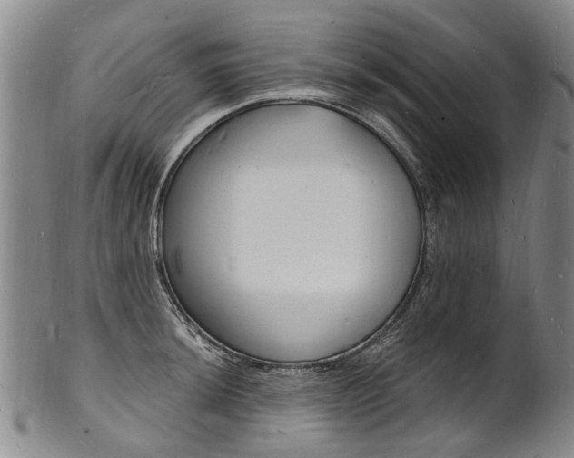 X0000101671044200807101045