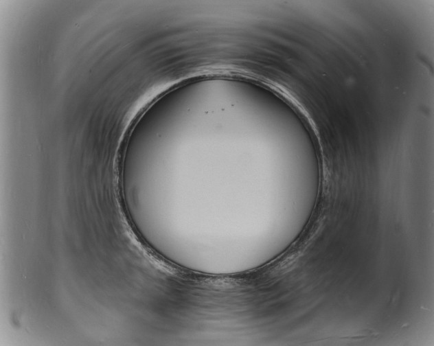 X0000101671045200807101045