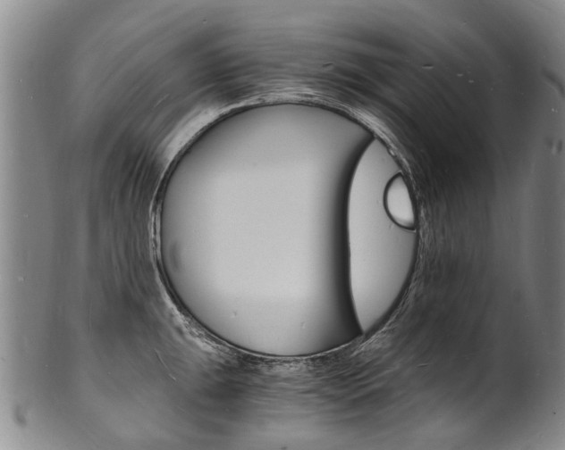 X0000101671047200807101045