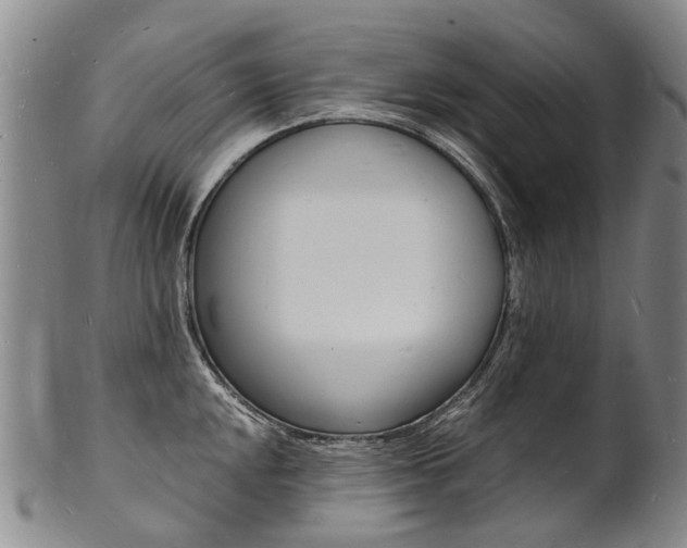 X0000101671048200807101045