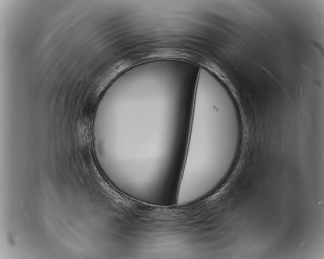 X0000101671049200807101045