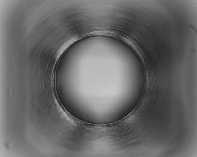 X0000101671050200807101045