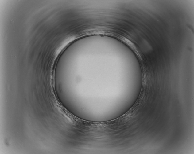 X0000101671051200807101045