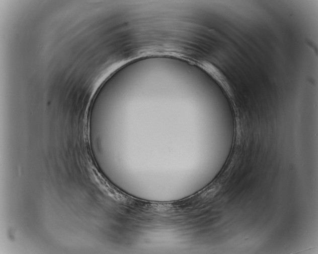 X0000101671052200807101045