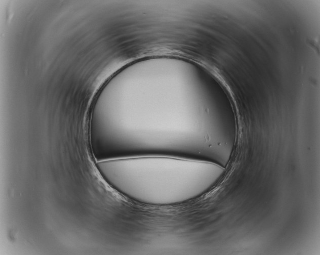 X0000101671053200807101045