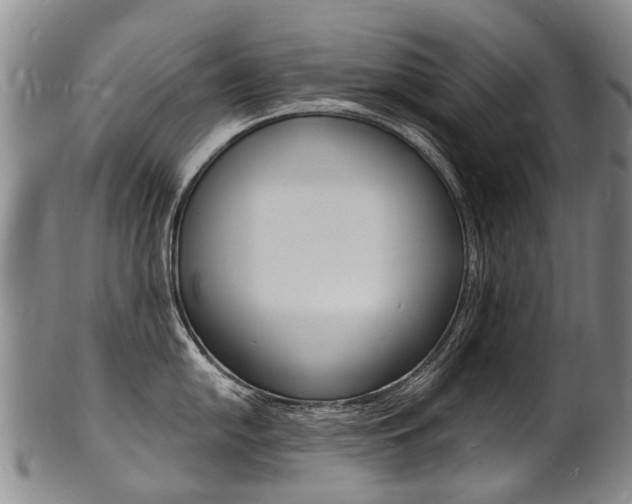 X0000101671054200807101045