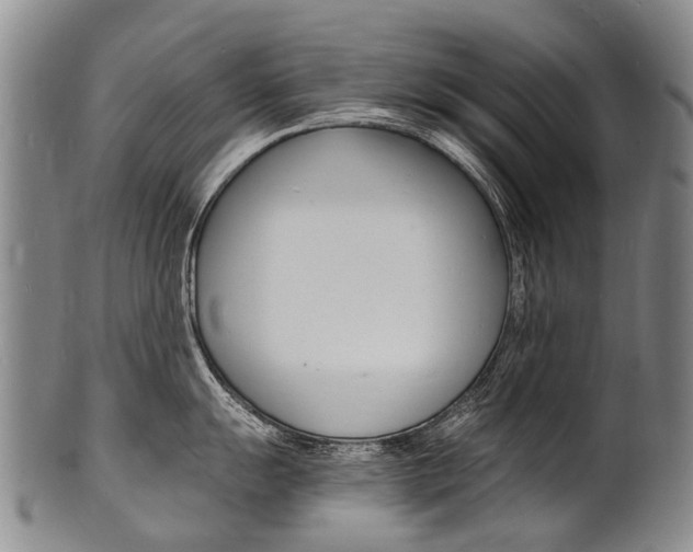 X0000101671055200807101045