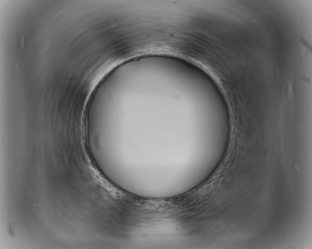 X0000101671056200807101045