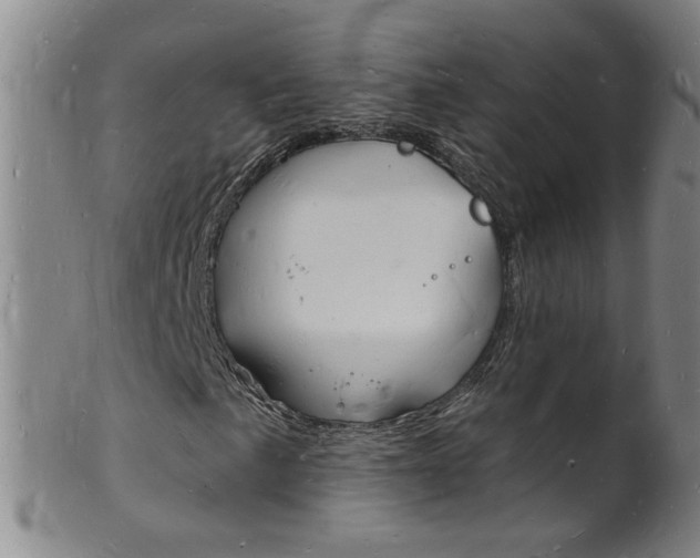 X0000101671057200807101044