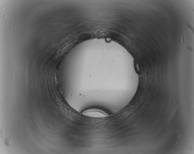 X0000101671058200807101044