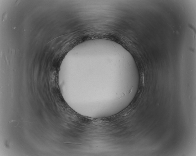 X0000101671059200807101044