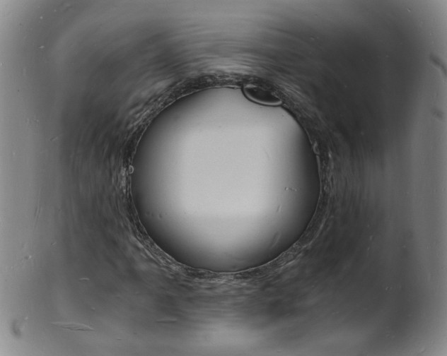 X0000101671061200807101044
