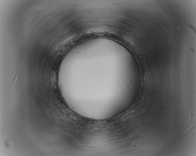 X0000101671062200807101044