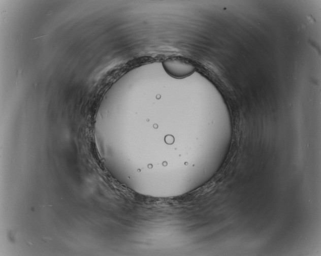 X0000101671063200807101044