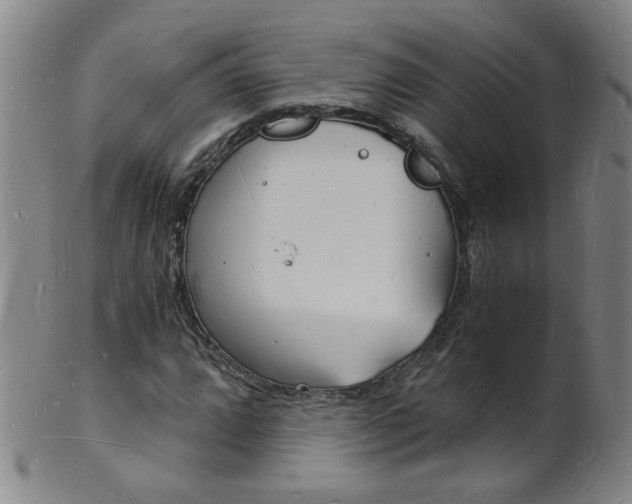 X0000101671064200807101044