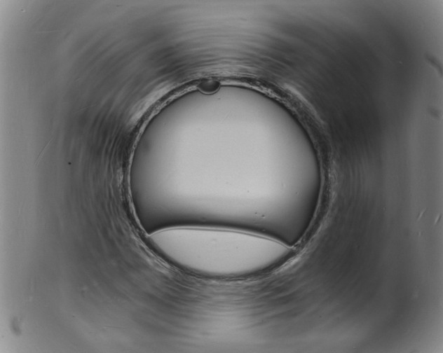 X0000101671065200807101044