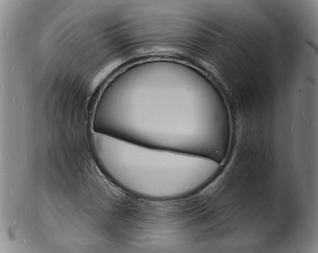 X0000101671066200807101044