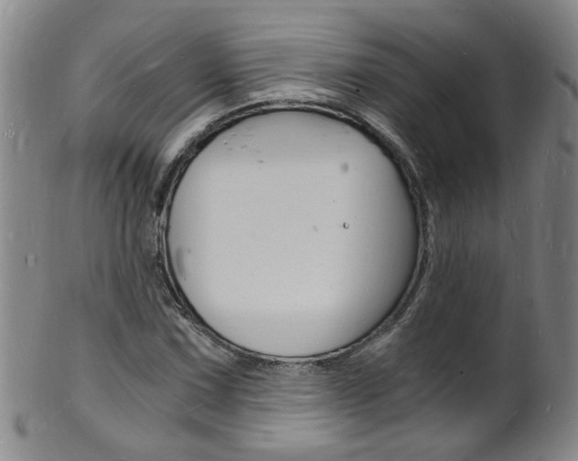 X0000101671067200807101044