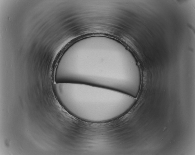 X0000101671068200807101044