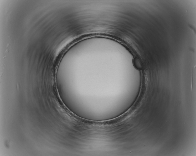 X0000101671069200807101044