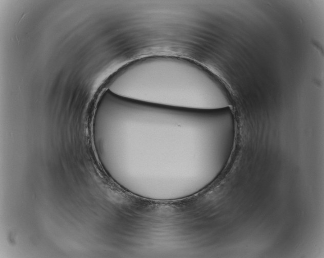 X0000101671070200807101044