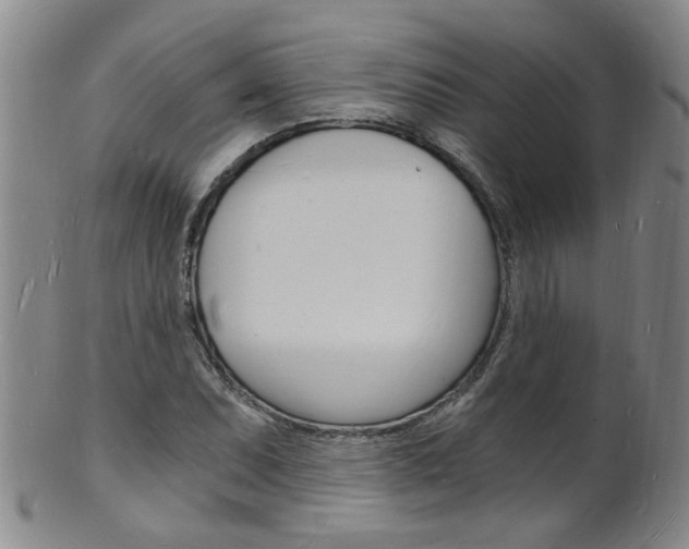 X0000101671071200807101044