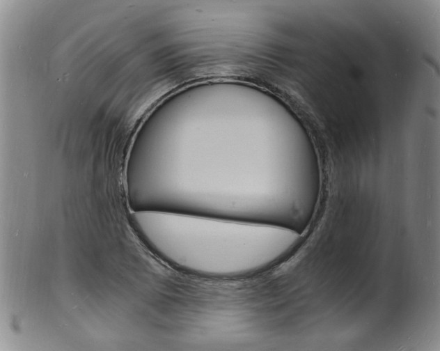 X0000101671073200807101044
