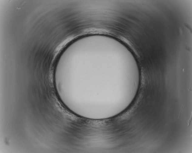 X0000101671074200807101044