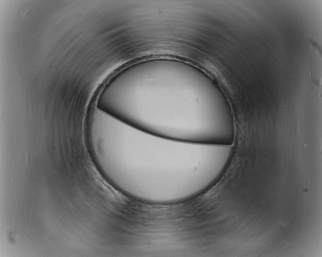 X0000101671076200807101044