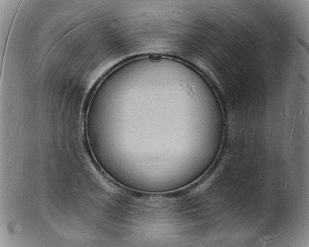 X0000101671077200807101044