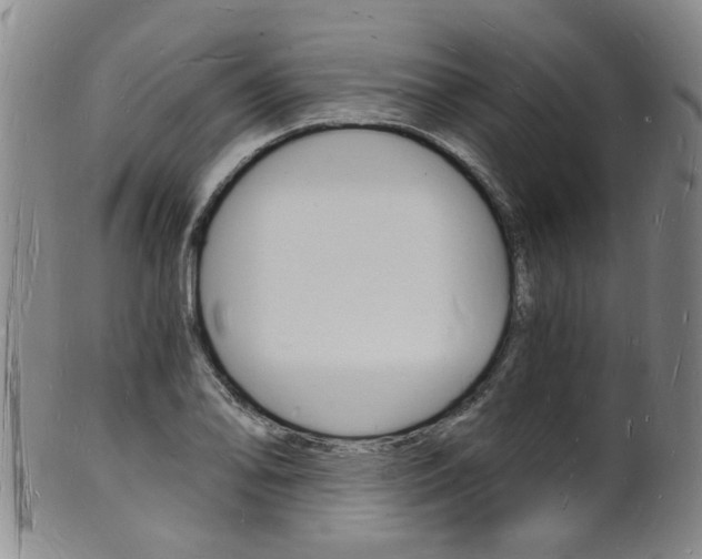 X0000101671078200807101044