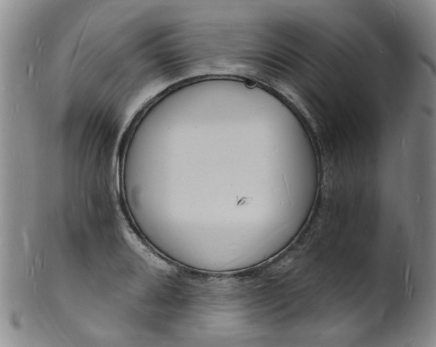 X0000101671080200807101044