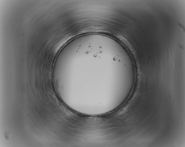 X0000101671081200807101044
