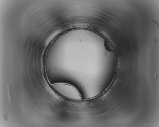 X0000101671082200807101043