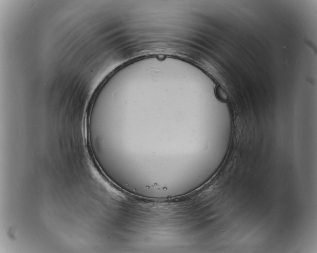 X0000101671084200807101043
