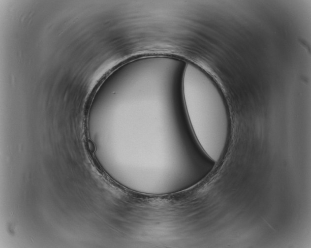 X0000101671085200807101043