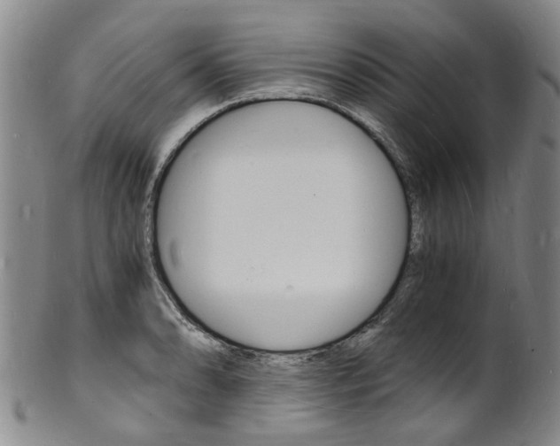X0000101671086200807101043
