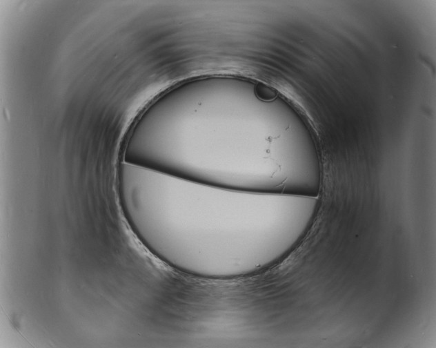 X0000101671088200807101043