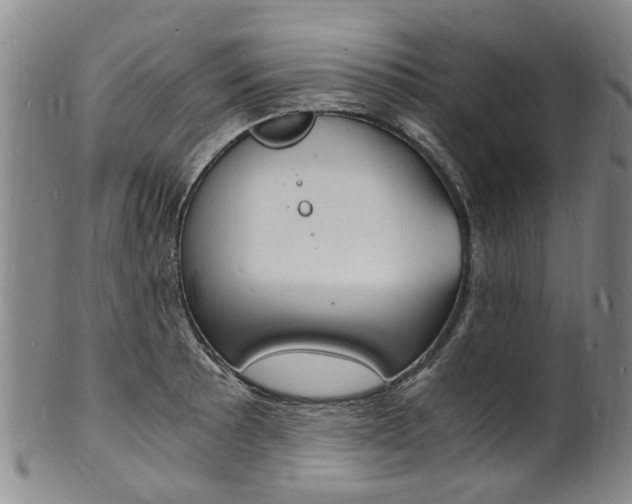 X0000101671089200807101043