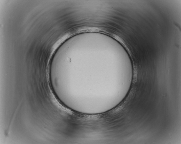 X0000101671090200807101043