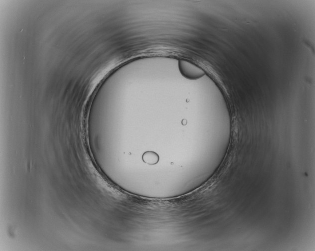 X0000101671091200807101043