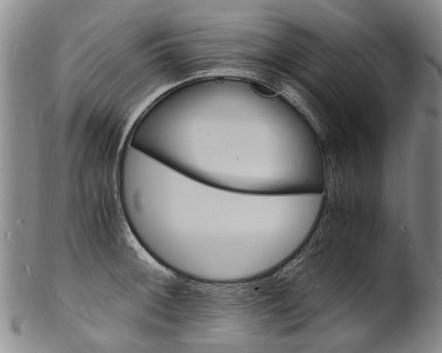 X0000101671092200807101043