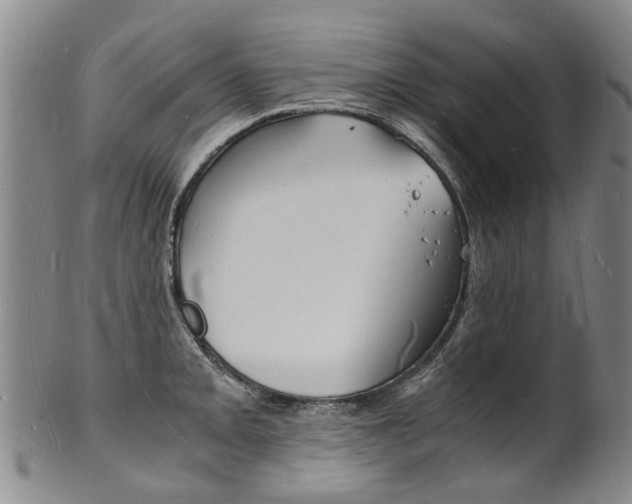 X0000101671093200807101043